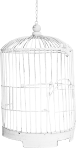 Cage bird PNG-41436